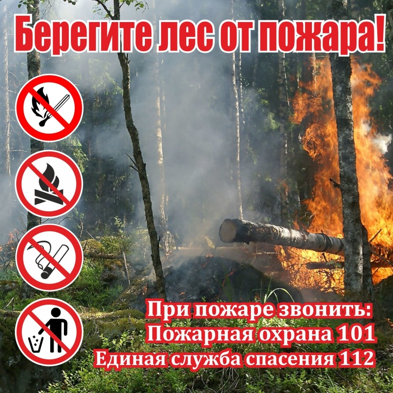 Штормовое предупреждение о высокой пожарной опасности лесов на территории Республики Татарстан