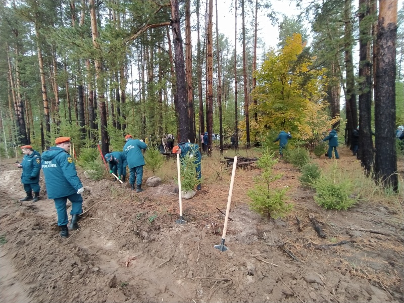 Казанские пожарные приняли участие в экологической акции «Зелёная Россия»