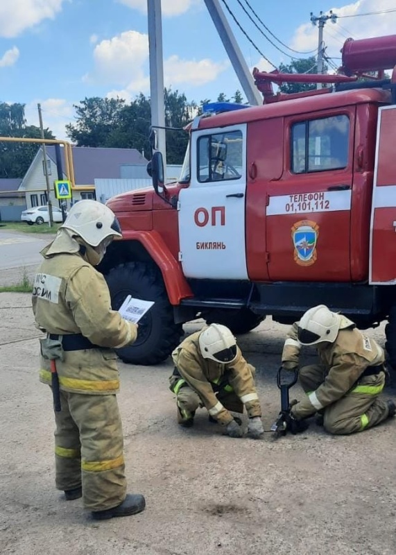 Начальник отдельного поста противопожарной службы по охране села Биклянь Тукаевского района Рамиль Фардиев удостоен государственной награды – медали «За отвагу на пожаре»