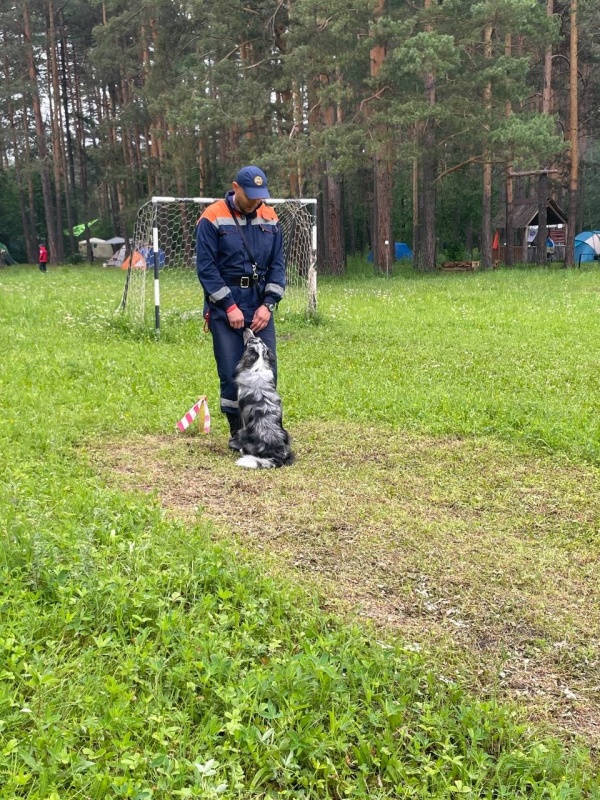 Для убедительной победы не хватило одного найденного «пострадавшего»