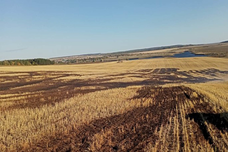 В Черемшанском районе пойман поджигатель сухой травы