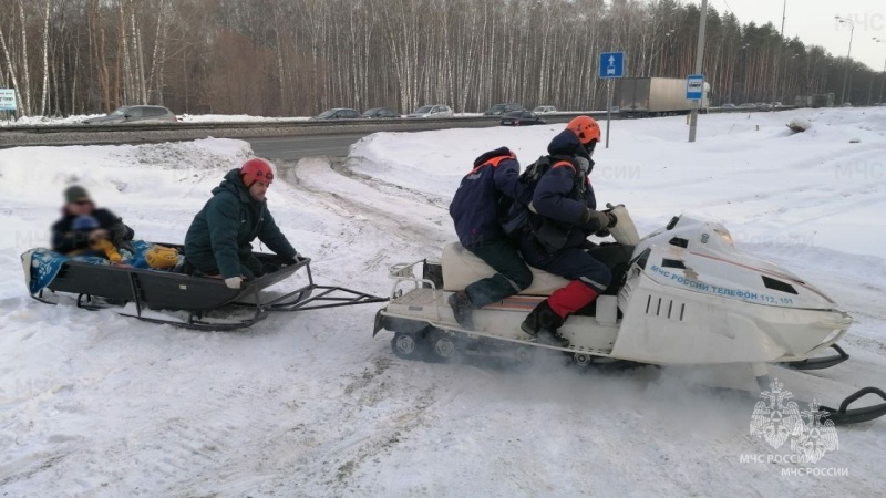 Лыжная прогулка по лесу закончилась неожиданно