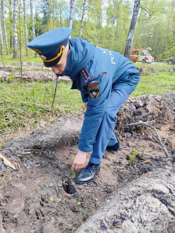 Сотрудники Главного управления МЧС России по Татарстану приняли участие в акции «Сад памяти»