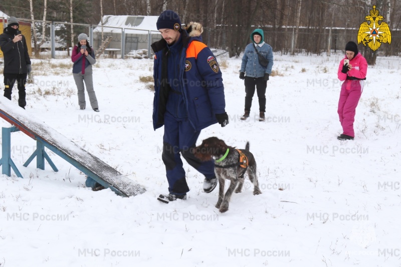 Кинологической службе МЧС России сегодня исполняется 28 лет