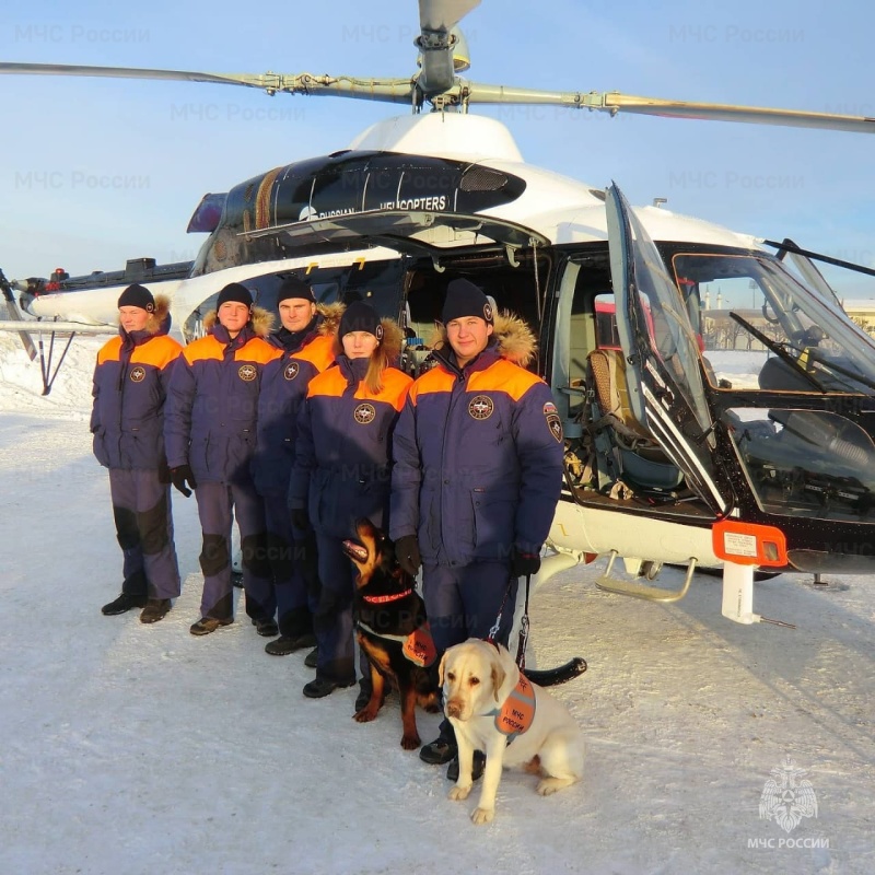 Кинологической службе МЧС России сегодня исполняется 28 лет